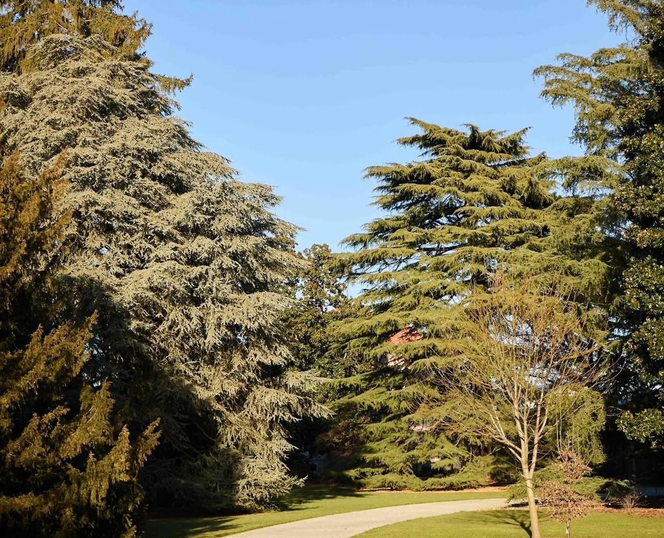 Lodge Villa Hermann Somma Lombardo Italy